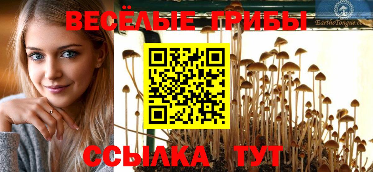 Псилоцибиновые грибы GOLDEN TEACHER  Вход с VPN  Тельмана  Псилоцибиновые грибы мицелий 